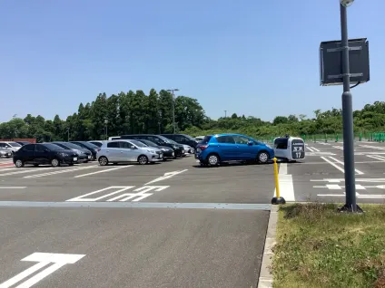 קזינו אלאב אפליקציה לנייד